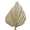 Vickerman Natural Botanicals 20" Palm Spear, Natural. Includes 50 pieces per Pack. Image 2