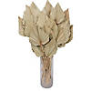 Vickerman Natural Botanicals 20" Palm Spear, Natural. Includes 50 pieces per Pack. Image 4