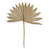 Vickerman Natural Botanicals 20" Palm Sun Spear, Natural. Includes 50 pieces per Pack. Image 1