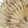 Vickerman Natural Botanicals 20" Palm Sun Spear, Natural. Includes 50 pieces per Pack. Image 2