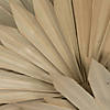 Vickerman Natural Botanicals 20" Palm Sun Spear, Natural. Includes 50 pieces per Pack. Image 3