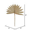 Vickerman Natural Botanicals 20" Palm Sun Spear, Natural. Includes 50 pieces per Pack. Image 4