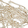Vickerman Natural Botanicals 32" Begun Tree, Bleached. Includes 5 pieces per Pack. Image 1
