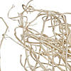 Vickerman Natural Botanicals 32" Begun Tree, Bleached. Includes 5 pieces per Pack. Image 2