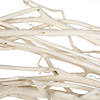 Vickerman Natural Botanicals 32" Begun Tree, Bleached. Includes 5 pieces per Pack. Image 3