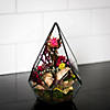 Vickerman Premium Green Mood Moss, Preserved Image 1