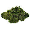 Vickerman Premium Green Mood Moss, Preserved Image 2