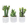 Vickerman Set of 3 Assorted 7" Potted Cactus Plants Image 1