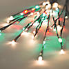 Vickerman Twig Lights LED Novelty Light Image 1