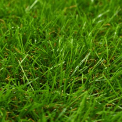 vidaXL Artificial Grass 3.3'x49.2'/0.2" Green Image 1