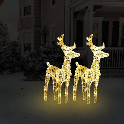 vidaXL Christmas Reindeers 2 pcs Warm White 80 LEDs Acrylic Image 1
