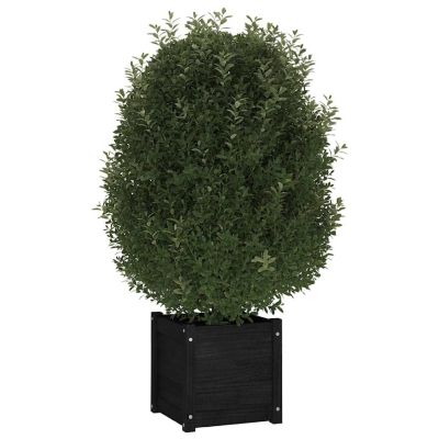 vidaXL Garden Planter Black 15.7"x15.7"x15.7" Solid Wood Pine Image 2
