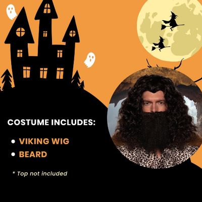 Viking Wig & Beard Adult Costume Set  Black Image 2