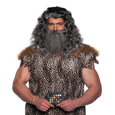 Viking Wig & Beard Adult Costume Set  Grey Image 1