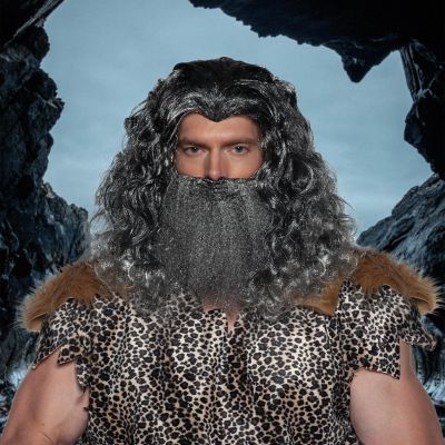 Viking Wig & Beard Adult Costume Set  Grey Image 1