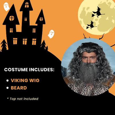 Viking Wig & Beard Adult Costume Set  Grey Image 2