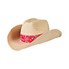 Western Cowboy Hats with Red Bandana - 12 Pc. Image 1