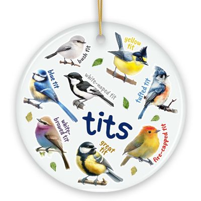 Whimsical Bird Ceramic Ornament, Funny Birdwatcher Gift for Birder Image 1