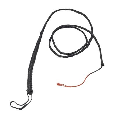 Whip Child Costume Image 1