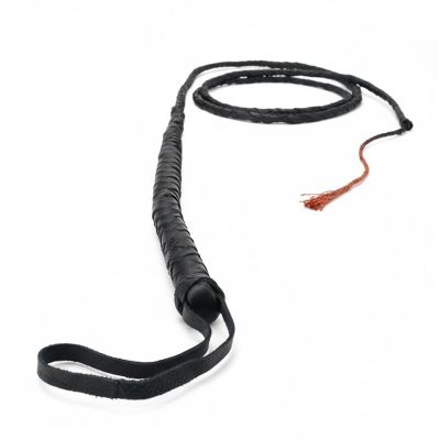 Whip Child Costume Image 1