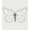White Butterfly Tapestry Image 1