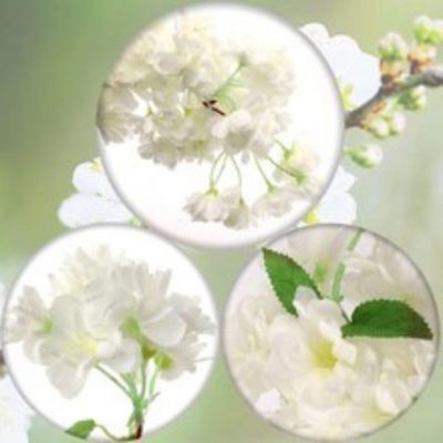 White Cherry Blossom Stem: Set of 3 Image 1