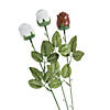 White Foil-Wrapped Chocolate Candy Roses - 12 Pc. Image 1