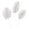White Ostrich Feathers - 24 Pc. Image 1