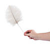 White Ostrich Feathers - 24 Pc. Image 1