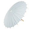 White Parasol Image 1