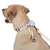 White Ring Bearer Dog Collar and Leash Image 1