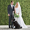 White Ring Bearer Dog Collar and Leash Image 2