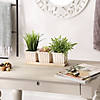 White Square Ceramic Small Planter (Set Of 3) Image 3