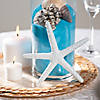 White Starfish - 12 Pc. Image 1