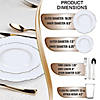 White with Silver Rim Round Blossom Disposable Plastic Dinnerware Value Set (120 Settings) Image 1