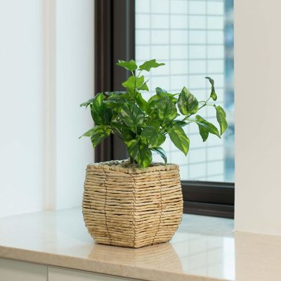 Wickerwise Woven Square Flower Pot Planter with Leak-Proof Plastic Lining- Small Image 1
