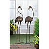 Wild Flamingo Garden Art (Set Of 2) 11.75X10X42" Image 1