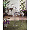 Wild Flamingo Garden Art (Set Of 2) 11.75X10X42" Image 2