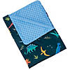 Wildkin Jurassic Dinosaurs Plush Blanket Image 1