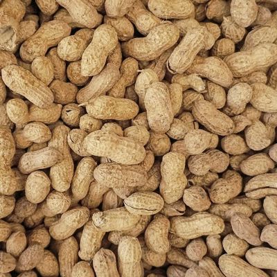 Wildlife Elements Peanut Party In-Shell Peanuts For Birds, Squirrels, Wild Animal Food, 25 Pound Bag Image 1