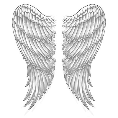 Wings Adult Costume Image 1
