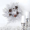 Winter Wonderland Sparkly Wreath Image 1