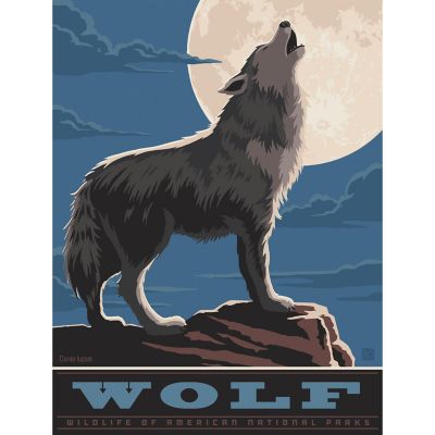 Wolf 300 Piece Jigsaw Puzzle Image 2