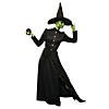 Women&#8217;s Plus Size Deluxe Classic Witch Costume Image 1
