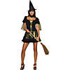 Women&#8217;s Secret Wishes Wicked Witch Costume Image 1