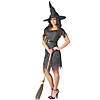 Women&#8217;s Twilight Witch Costume - Medium Image 1