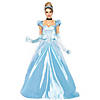 Women's Cinderella Classic Costume Image 1