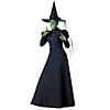 Women's Deluxe Wicked Witch Costume - Small Image 1