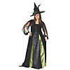 Women's Plus Size Witch Goth Maiden Costume Image 1