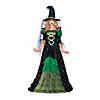Women's Storybook Witch Costume - Medium Image 1